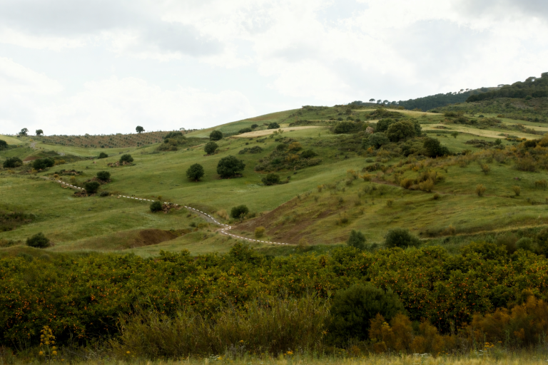 391ca81624a35e7b513399437cccd9bd6de17fd3